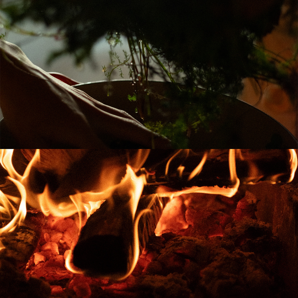 タイトル