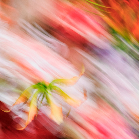 ZERO FREESIA MIST