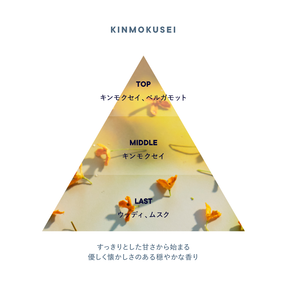 キンモクセイ
