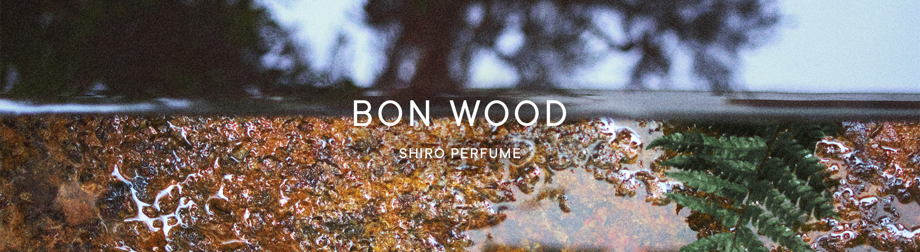 BON WOOD