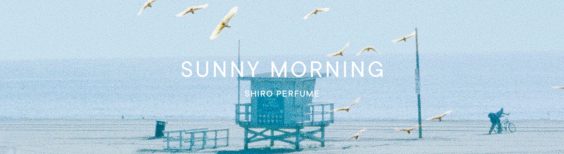 SUNNY MORNING